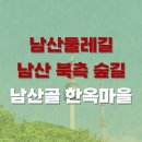 남산길 | 남산 타워 걸어서 오르기 좋은 남산둘레길 코스(남산골 한옥마을과 남산 북측 숲길)와 해치버스 후기