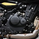 더히말라얀 이미지