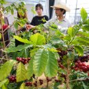 굿모닝농장 이미지