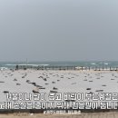 곽지패총 이미지
