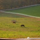 예천목장 이미지