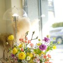 남부터미널 1번출구 | 서초동 남부터미널 꽃집 여의도 꽃배달 | KB 감사팀 부장님께 간 옐로우 라벤더 꽃바구니