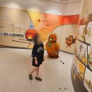 둥지박물관 이미지