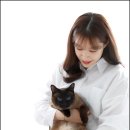 봉곡동243 이미지