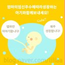 280데이즈