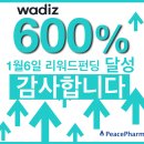 주식회사 피스팜