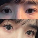 옥정동 폴리프라자ⅴ | 옥정동 속눈썹 '레나뷰티' 양주 속눈썹연장 잘하는곳 추천!