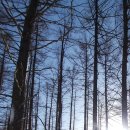 다온여행사 이미지