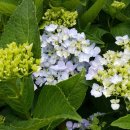 월은농장 이미지