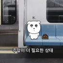 10월의 마지막...🍂🍁