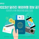 트리플