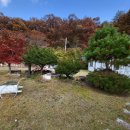 무릉도원면-1 이미지