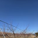 대농2농장 이미지