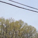 야은로-5 네이버블로그
