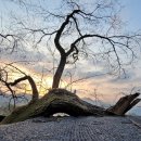 나루터로 27 (2) 이미지