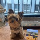 하이비오 이미지