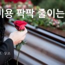 금호장례서비스 - 함양군 황마로 164 | 금호장례서비스