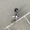 팡아트 이미지