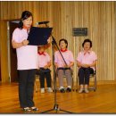 밸리댄스 주간 이미지