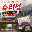 오키나와 슈리성 방문후기 | 화재 이후 현재 모습 직접 다녀왔어요