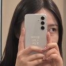 댕댕다방 | 전광석화같은 11월 =33