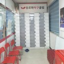 [위례 탁구장] 유로파 탁구 클럽 추천 후기