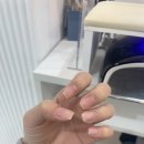 네일위드502 이미지