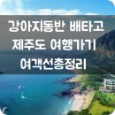 강아지랑배타고제주도가기/강아지동반제주도일주일살이/제주도배편/배타고제주도가기/반려견동반제주도...