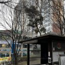 하단동171 이미지