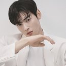 차은우 탈세 의혹