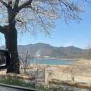 레이크펜션 | 청풍호벚꽃축제와 대형견도 맘껏뛰는 독채! 청풍하트레이크 펜션 후기⭐️