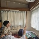 강화도 글램핑 어반티지 카라반 펜션 4인가족 바이킹 민트 후기