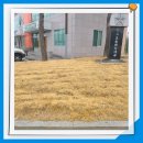 대가면 보건지소 이미지