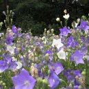 청산여관 이미지