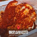 원조하루밥상 주식회사 | 대전 선화동 매운실비김치 세트 솔직 후기