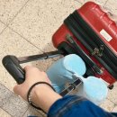 중천농장 | [🇻🇳 베트남/냐짱] 2박 4일 자유여행/2 -1일차 : 바람과 모래 사이, 무이네에서의 오전을 되감기 해.