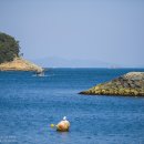 남해바다 이미지