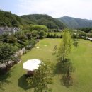 이필남동해동태찜 이미지