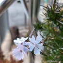 입암 버스정류소 이미지