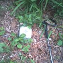 자천초교 이미지