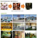 부일식품 Daum카페