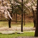 고산골 4 이미지