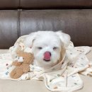 방울씨네