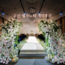 오산5-11 농로 | 오산/동탄 웨딩홀 벨라노떼 계약후기+시식후기