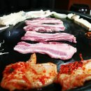 돼지꿈꾸던날 이미지