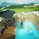 파트라슈 애견 펜션 이미지