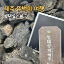 평대리서동경로당 | 제주 동쪽 현지인 맛집 평대성게국수 내돈내산