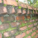 효리경로당 이미지