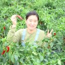 피나무골 소공원 Daum카페