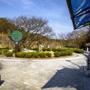 돌할매식당 이미지